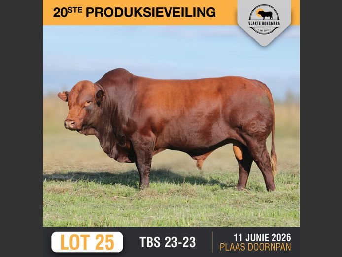 TBS230023 | THABA KWENA BONSMARAS