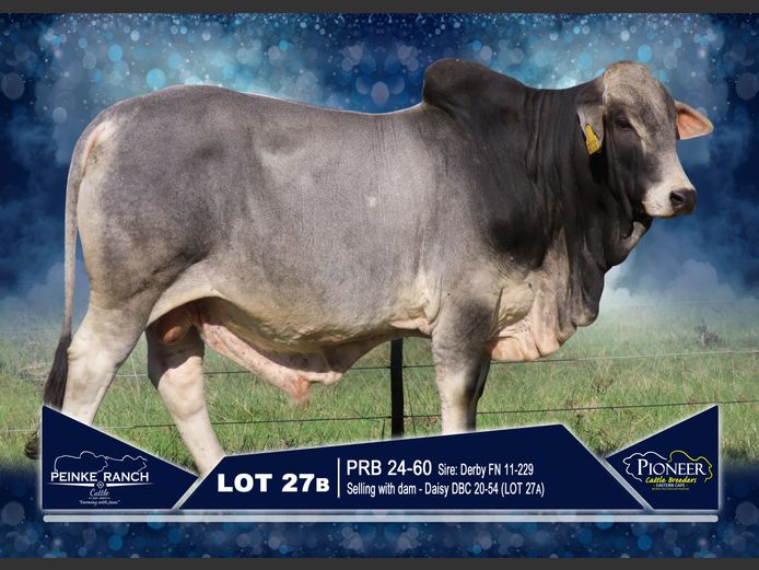 PRB 240060 | PEINKE RANCH