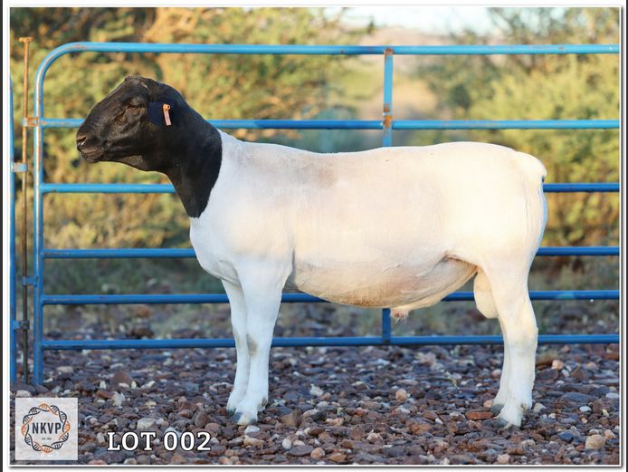 1643 24 0464 | C.C. VAN DEVENTER