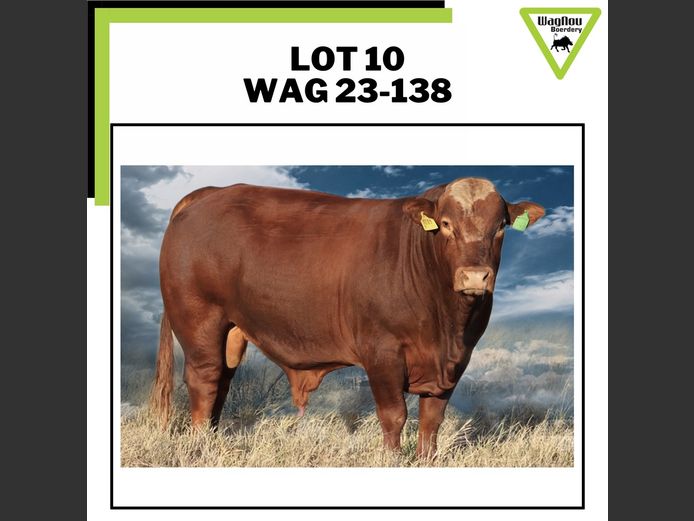 WAG 230138 | WAGNOU BOERDERY