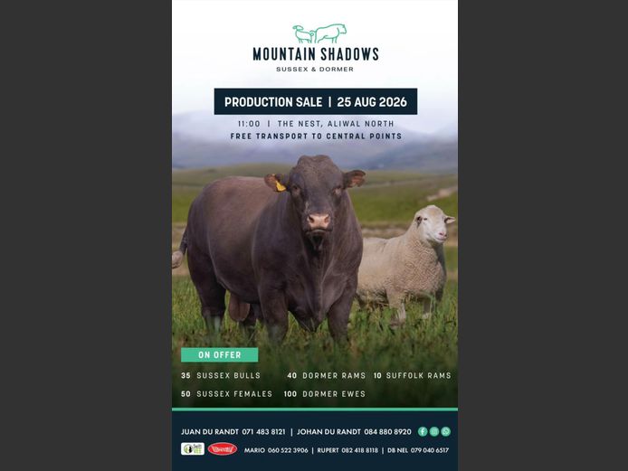 MOUNTAIN SHADOWS SUSSEX AND DORMER PRODUCTION SALE