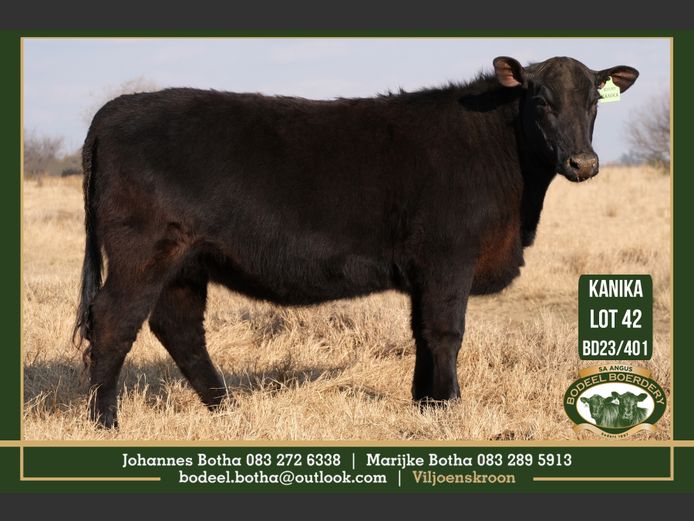 BD 230401 | BODEEL BOERDERY