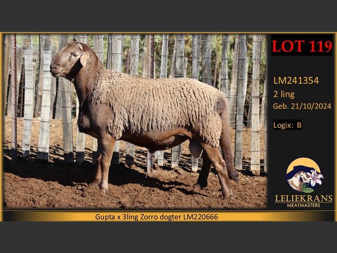 LM241354 | LELIEKRANS MEATMASTERS