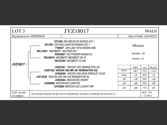 JVZ18-17