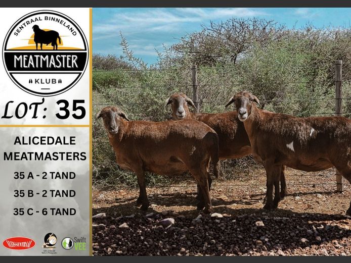 Ooie | Alicedale Meatmasters