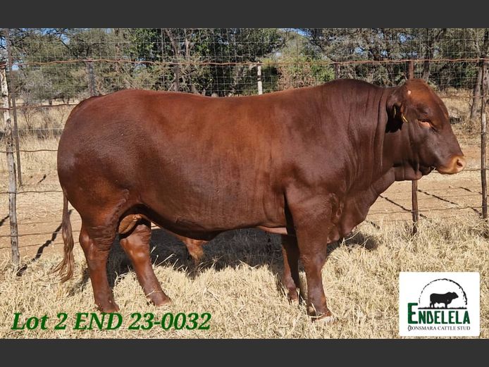 END230032 | ENDELELAFARMINGCC
