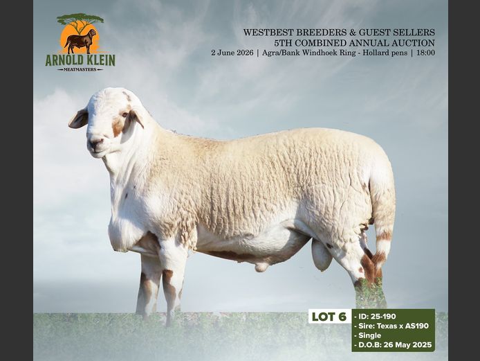 25-190 | ARNOLD KLEIN MEATMASTERS