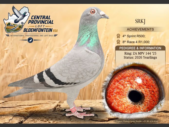 MPV 144 2025 | SRKJ