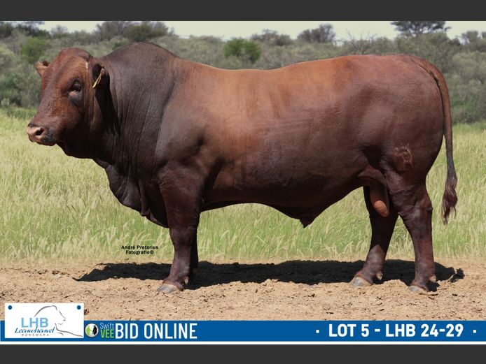 LHB 240029 | LEEUHEUWEL BOERDERY (EDMS) BPK