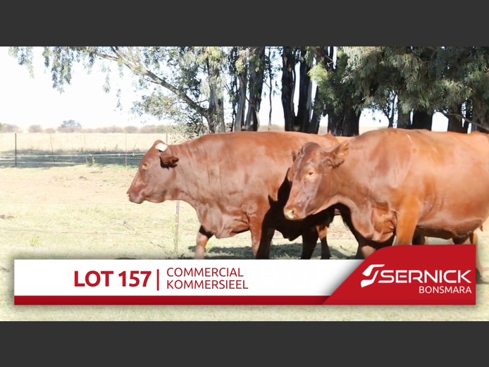 Commercial Animals