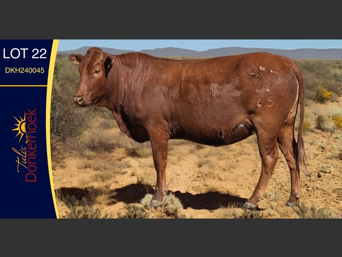 DKH240045 | DONKERHOEK BOERDERY TRUST