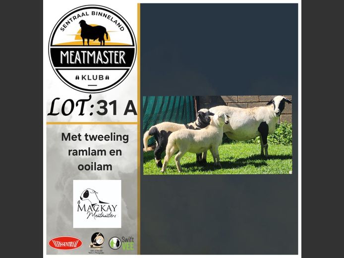 Ooi | Mackay Meatmasters