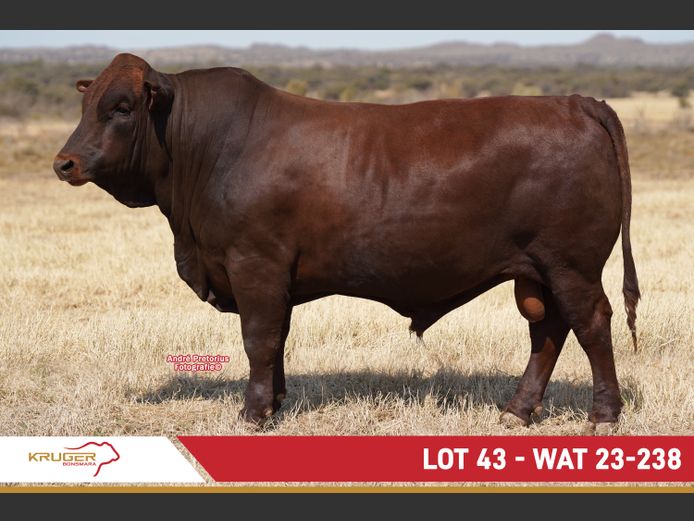 WAT230238 | KRUGER BOERDERY