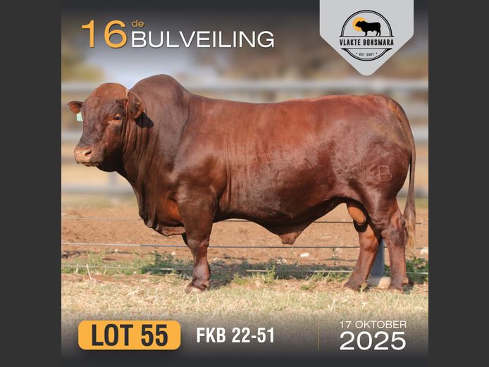 FKB 220051 | FRITS KROON BOERDERY