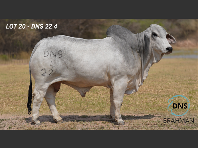 DNS224 | JES-C BOERDERY (PTY) LTD
