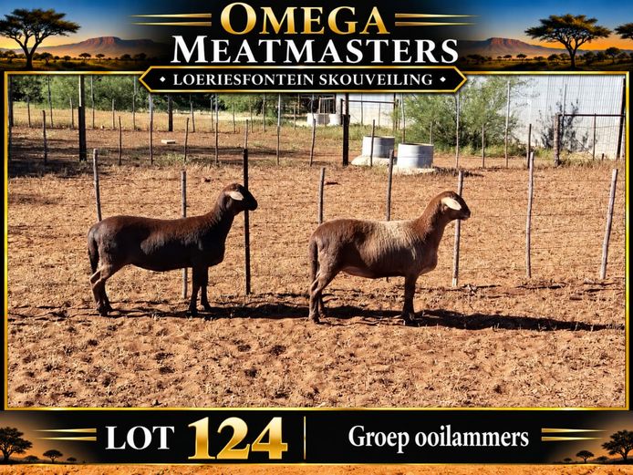 Omega Meatmasters