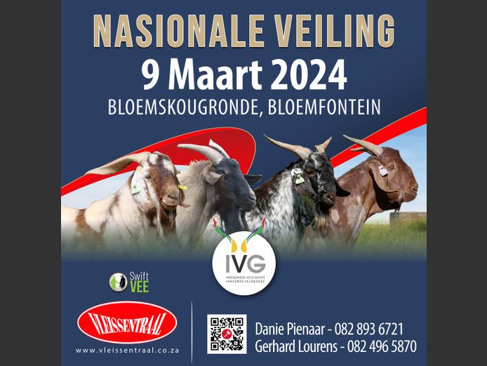 IVG NATIONAL AUCTION