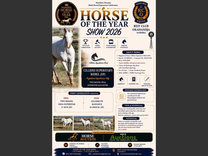 Cilliers Boerdery for Cilliers Appaloosa Stud | HORSE OF THE YEAR AUCTION