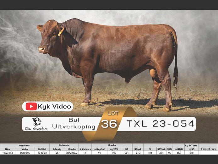 TXL23-054