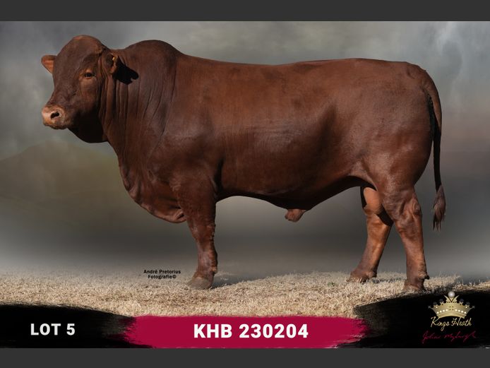 KHB 230204