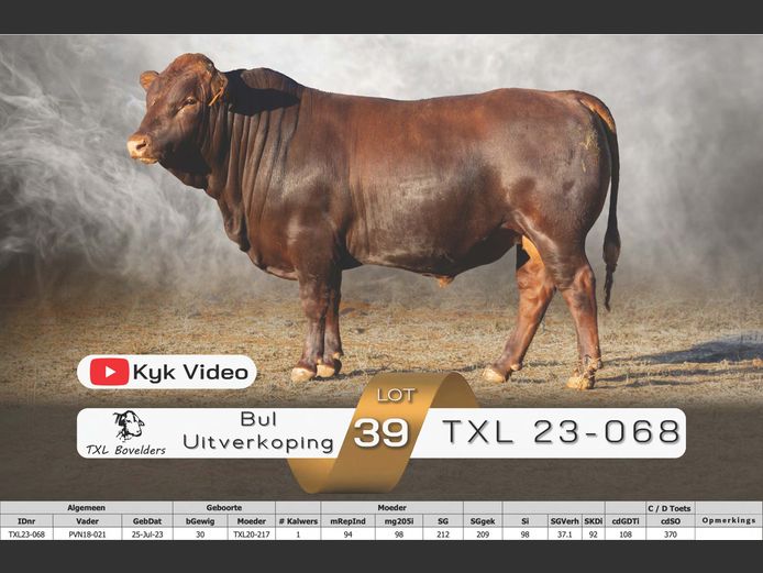 TXL23-068