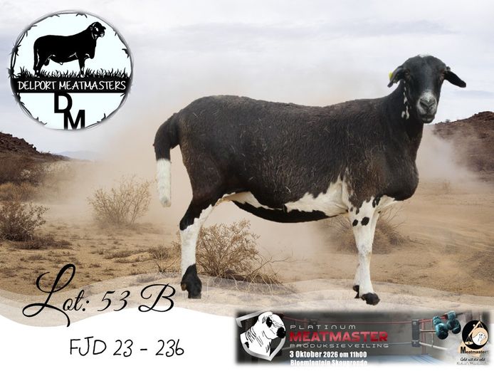 FJD 23-236 | Delport Boerdery