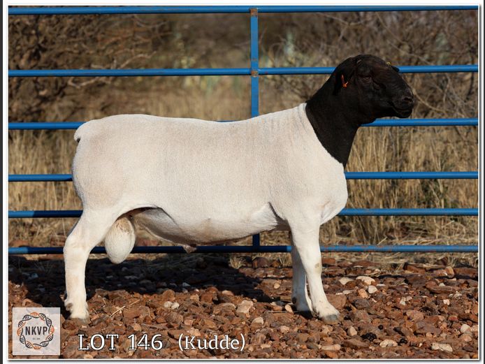 1643 24 0103 | MNR. C.C. VAN DEVENTER