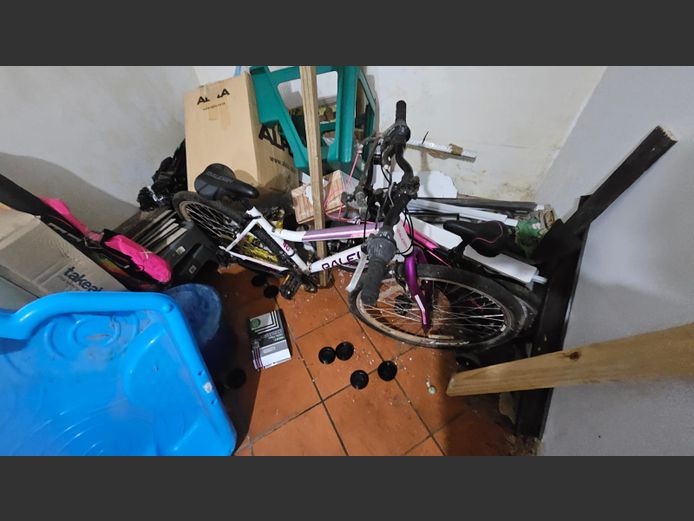 Raleigh Bicycle