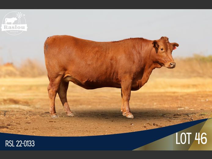 RSL 220133 | RASLOU BONSMARAS