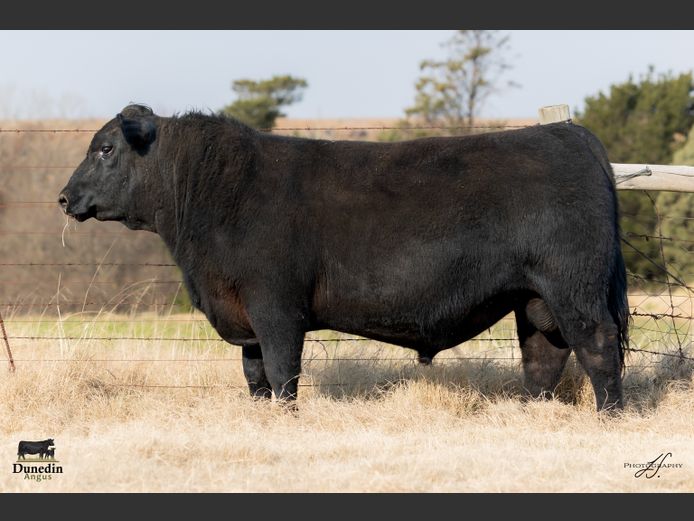 KCM 230038 | TABLE HILL FARMING PTY LTD