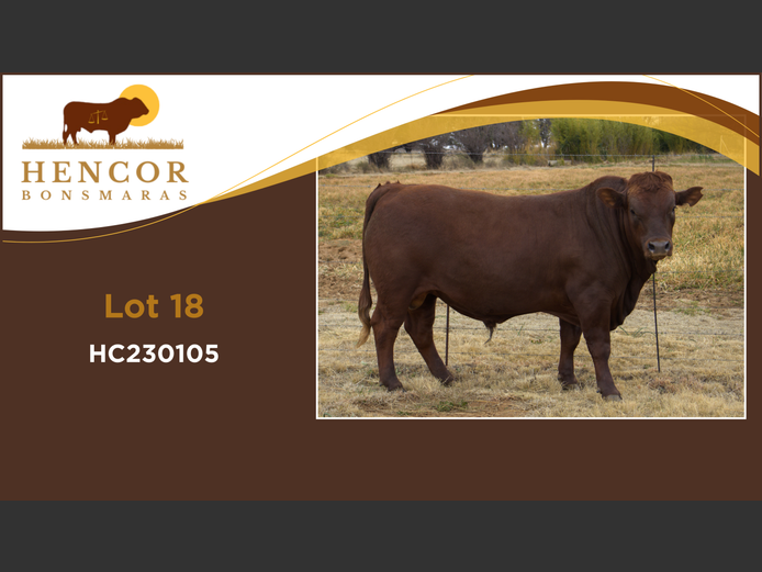 HC  230105 | HENCOR BOERDERY