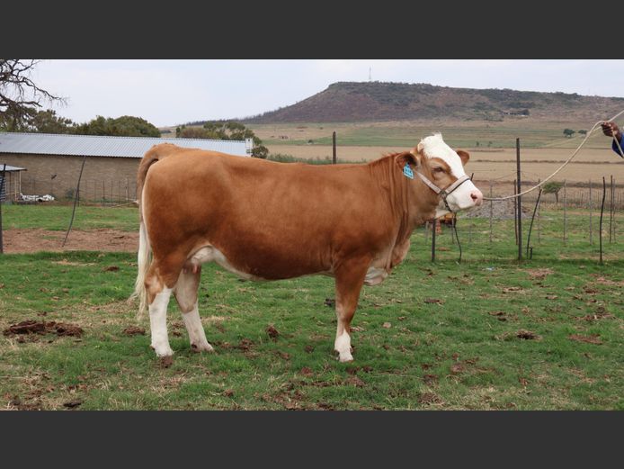 LR2438 | Johan Theron