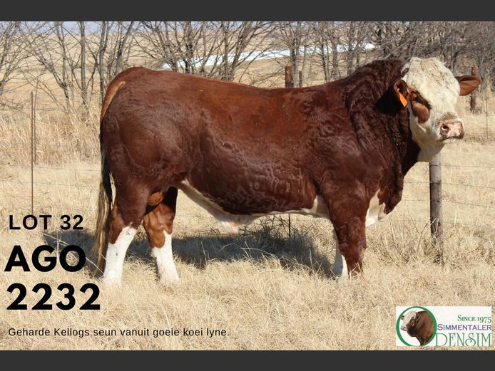 AGO2232 | AG ODENDAAL
