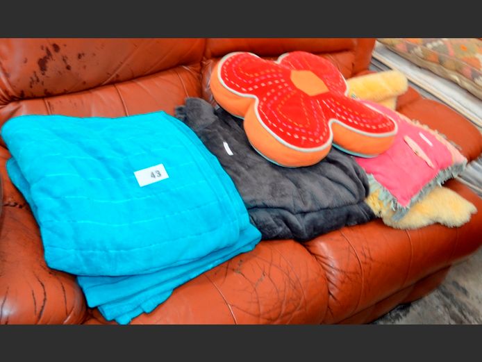 FLUFFY BLANKETS & SCATTER CUSHIONS