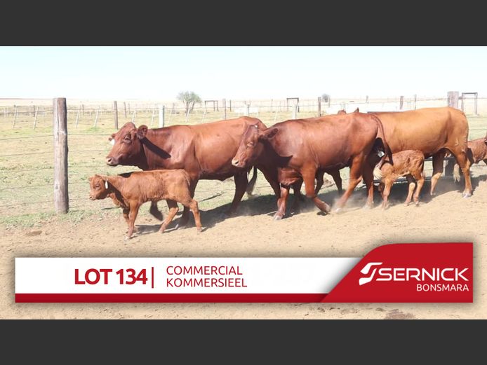 Commercial Animals