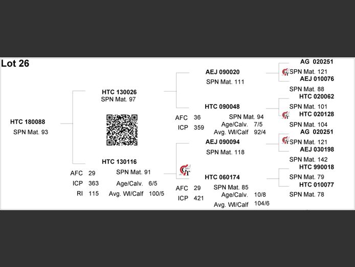 HTC 180088