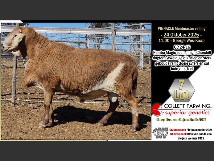 CC  240016 | COLLETT FARMING CC