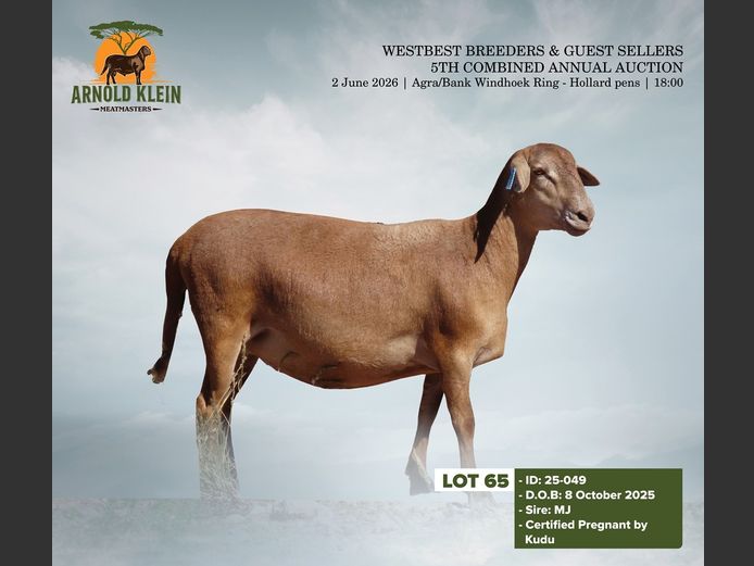 25-049 | Arnold Klein Meatmaster