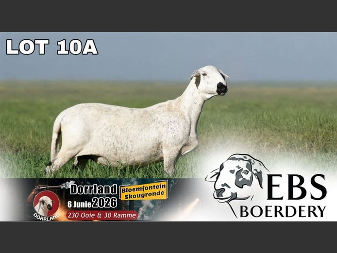 CRL 19 0034 | EBS Boerdery