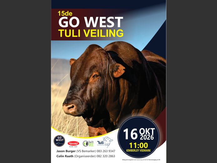 15DE GO WEST TULI VEILING