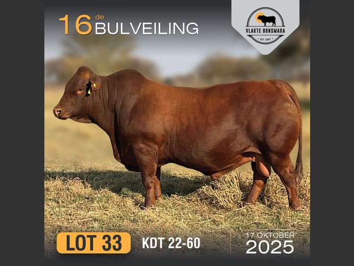 KDT 220060 | J.P.F. DU TOIT