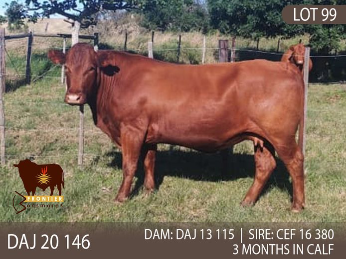 DAJ 200146 | J.D. STIRK