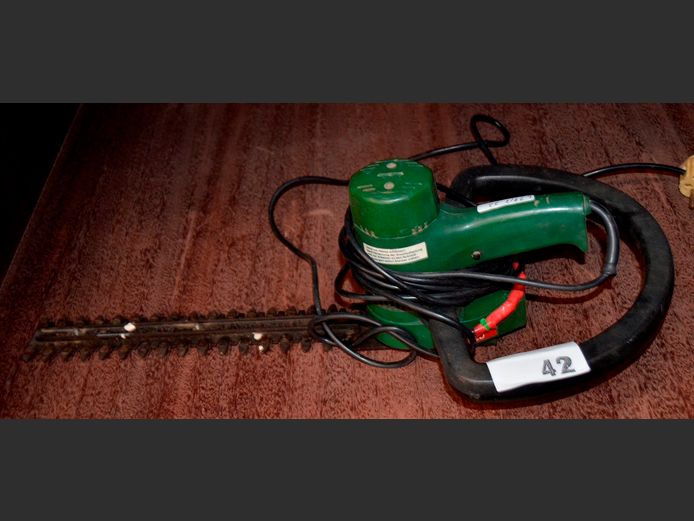 BOSCH ELECTRIC HEDGE TRIMMER [Switches on, untested further]