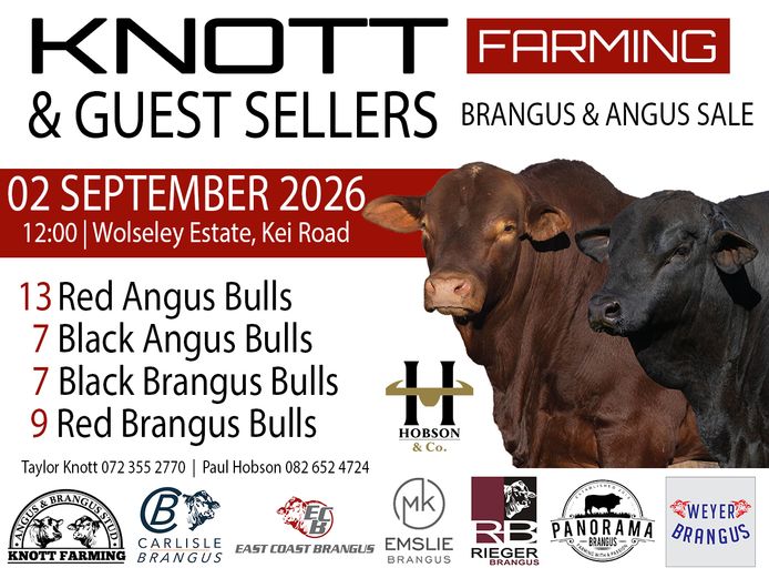 KNOTT FARMING BRANGUS & ANGUS BULL & PRODUCTION SALE