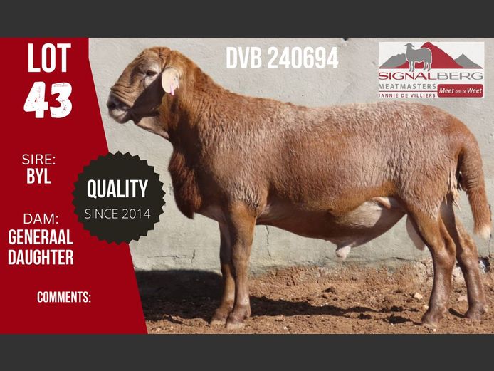 DVB 240694 | SIGNALBERG MEATMASTERS