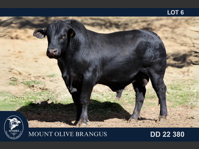 DD22380 | SPARKS CDH