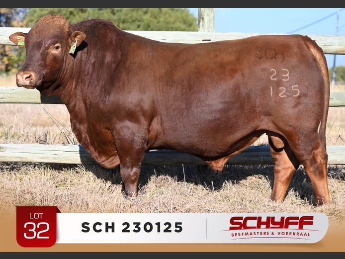SCH 230125
