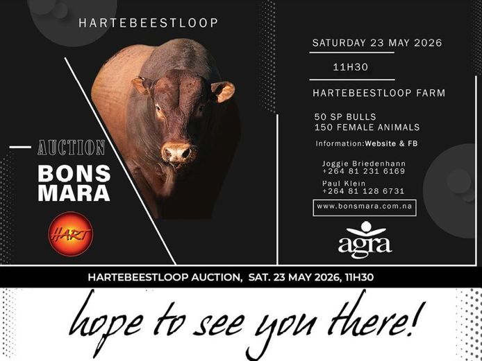 HARTEBEESTLOOP BONSMARA AUCTION