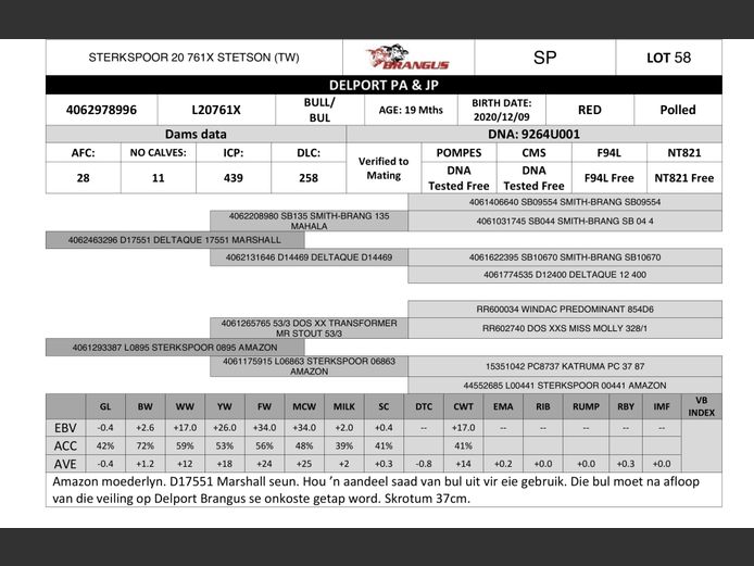 L20761X | DELPORT PA & JP