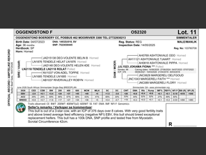 genetic_data